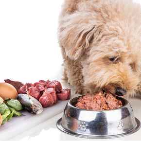 Picture for category Raw Diets